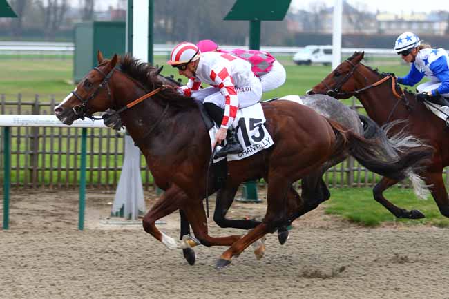 Photo d'arrivée de la course pmu PRIX DE L'ALLEE SANS SOUCI à CHANTILLY le Jeudi 9 novembre 2017