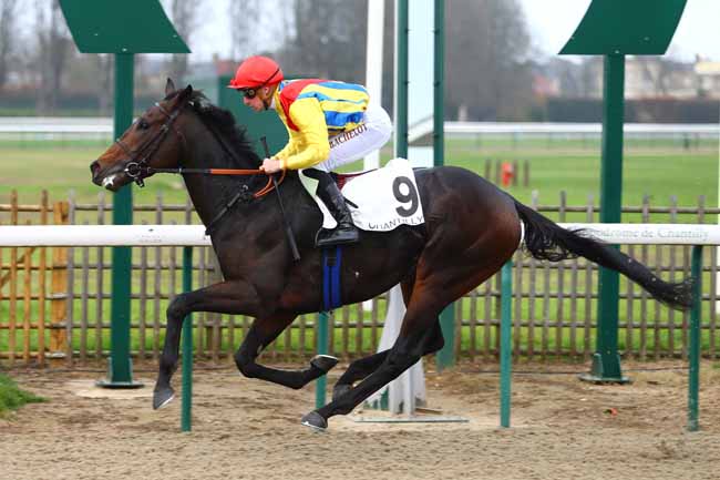 Photo d'arrivée de la course pmu PRIX DU PARC DU MANOIR à CHANTILLY le Jeudi 9 novembre 2017