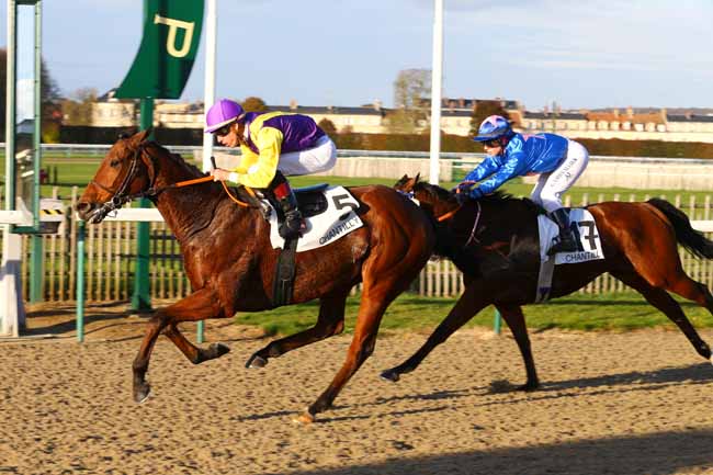 Photo d'arrivée de la course pmu PRIX DE LA THEVE à CHANTILLY le Jeudi 9 novembre 2017