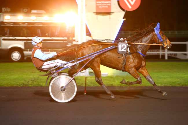 Photo d'arrivée de la course pmu PRIX GEMMA à PARIS-VINCENNES le Vendredi 10 novembre 2017
