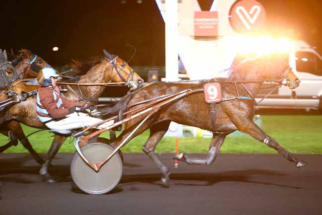 Photo d'arrivée de la course pmu PRIX PALATIA à PARIS-VINCENNES le Vendredi 10 novembre 2017