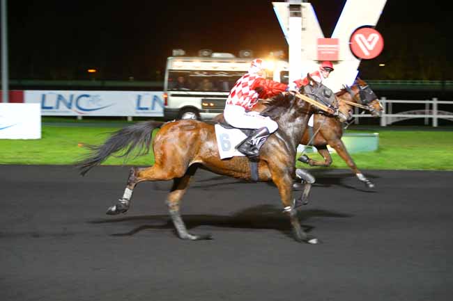 Photo d'arrivée de la course pmu PRIX TITAN à PARIS-VINCENNES le Vendredi 10 novembre 2017