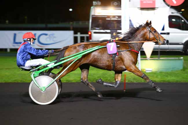 Photo d'arrivée de la course pmu PRIX CAMPANUS à PARIS-VINCENNES le Vendredi 10 novembre 2017