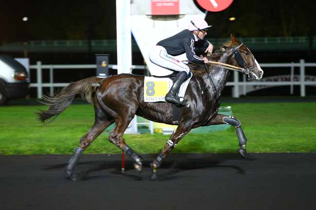 Photo d'arrivée de la course pmu PRIX SOPHIA à PARIS-VINCENNES le Vendredi 10 novembre 2017