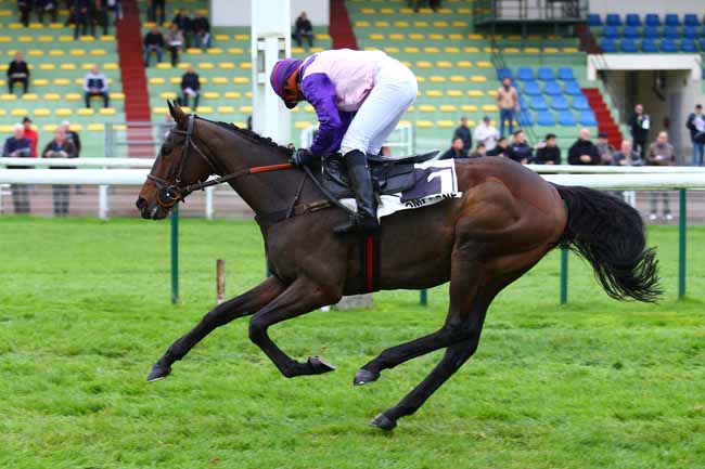 Photo d'arrivée de la course pmu PRIX DANIEL MERLE à COMPIEGNE le Vendredi 10 novembre 2017