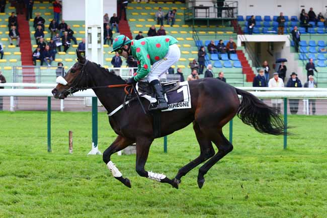 Photo d'arrivée de la course pmu PRIX PAULETTE ROLLAND à COMPIEGNE le Vendredi 10 novembre 2017