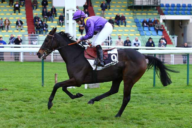 Photo d'arrivée de la course pmu PRIX ROBERVAL à COMPIEGNE le Vendredi 10 novembre 2017