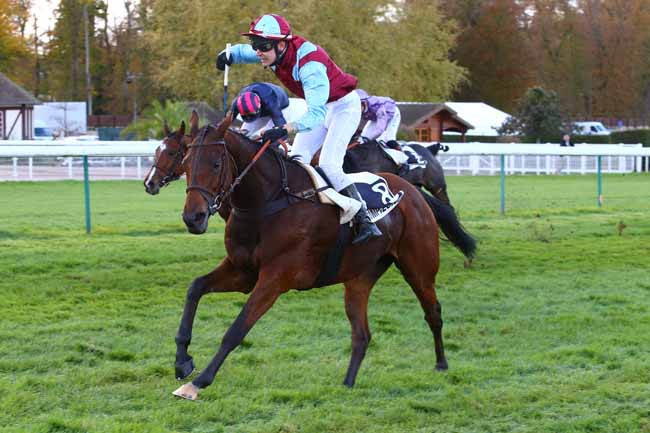 Photo d'arrivée de la course pmu PRIX COLONEL D'ENGLESQUEVILLE à COMPIEGNE le Vendredi 10 novembre 2017