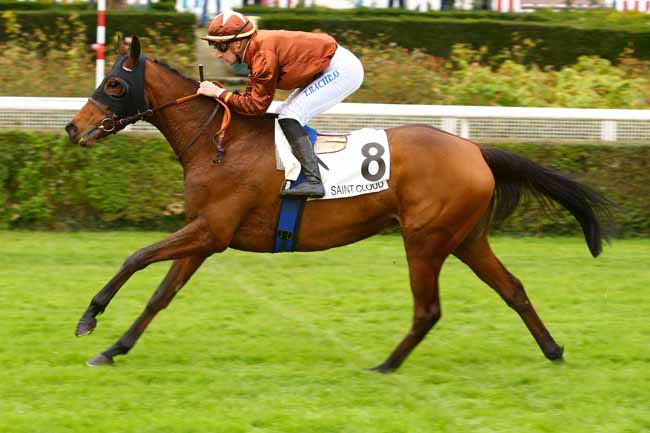Photo d'arrivée de la course pmu PRIX DENISY à SAINT-CLOUD le Vendredi 10 novembre 2017