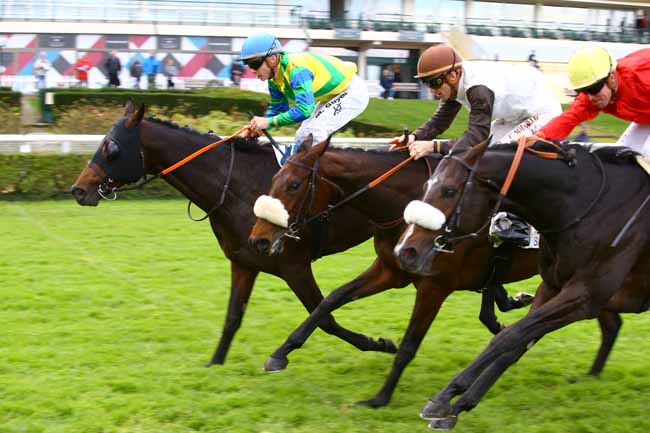 Photo d'arrivée de la course pmu PRIX DU HARAS DE LA HUME à SAINT-CLOUD le Vendredi 10 novembre 2017