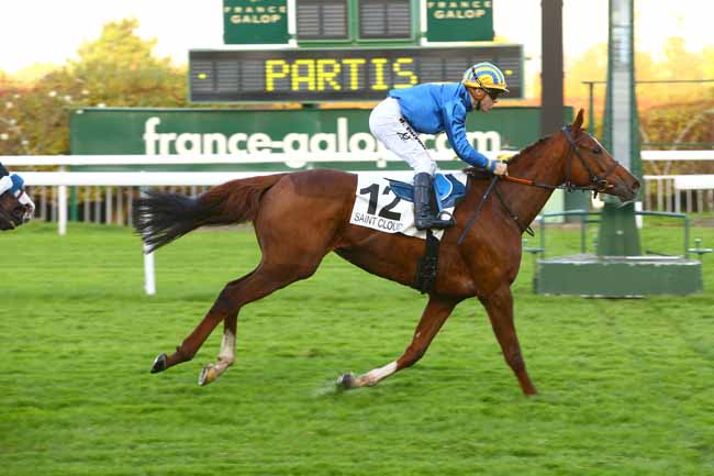 Photo d'arrivée de la course pmu PRIX DE LA MARNE à SAINT-CLOUD le Vendredi 10 novembre 2017