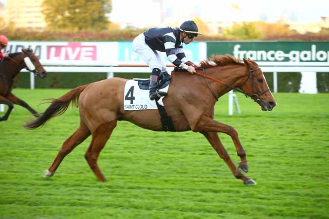 Photo d'arrivée de la course pmu PRIX DE L'OURCQ à SAINT-CLOUD le Vendredi 10 novembre 2017