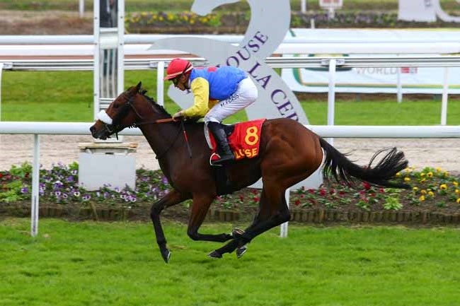 Photo d'arrivée de la course pmu PRIX DE SAINT-CYPRIEN à TOULOUSE le Samedi 11 novembre 2017