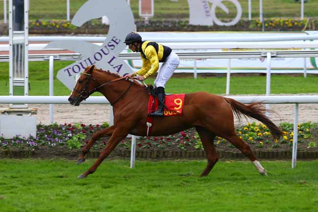 Photo d'arrivée de la course pmu GRAND NATIONAL DES ANGLO-ARABES A 12.5 % à TOULOUSE le Samedi 11 novembre 2017
