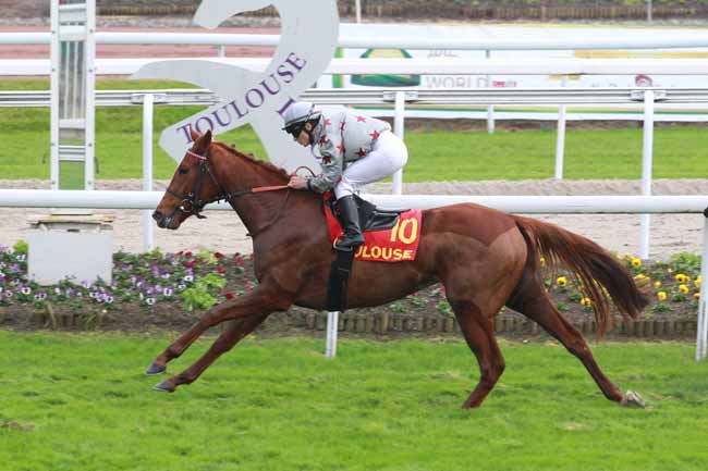 Photo d'arrivée de la course pmu PRIX DE LA VILLE DE CUGNAUX à TOULOUSE le Samedi 11 novembre 2017