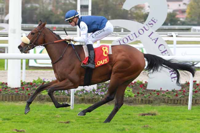 Photo d'arrivée de la course pmu CRITERIUM DU LANGUEDOC - PRIX BERNARD DE MARMIESSE à TOULOUSE le Samedi 11 novembre 2017