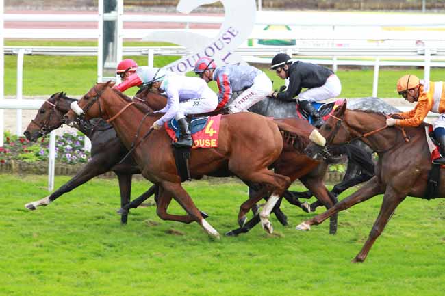 Photo d'arrivée de la course pmu PRIX DE LA VILLE DE TOULOUSE à TOULOUSE le Samedi 11 novembre 2017