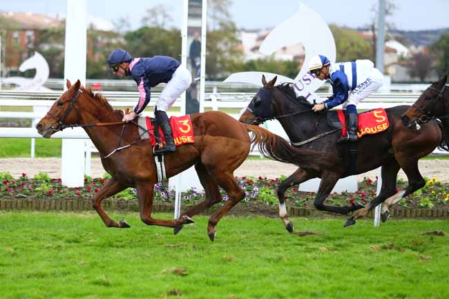 Photo d'arrivée de la course pmu PRIX FILLE DE L'AIR à TOULOUSE le Samedi 11 novembre 2017