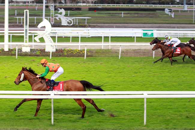 Photo d'arrivée de la course pmu PRIX FRAM - QUARTIER DE SAINT-CYPRIEN à TOULOUSE le Samedi 11 novembre 2017