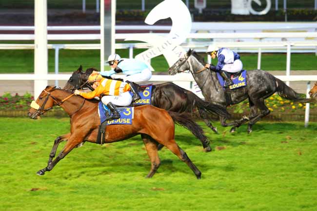 Photo d'arrivée de la course pmu PRIX DE BELLERIVE à TOULOUSE le Samedi 11 novembre 2017