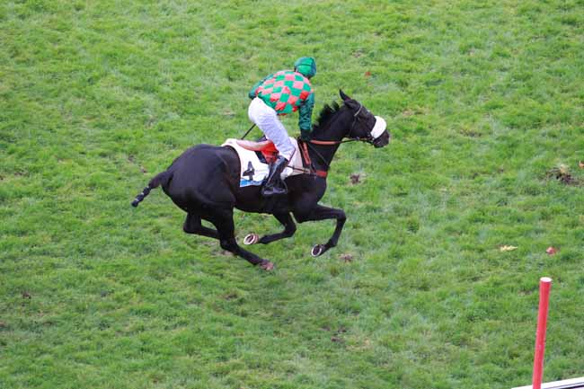 Photo d'arrivée de la course pmu PRIX LE PARISIEN - PRIX MARC ANTONY à AUTEUIL le Dimanche 12 novembre 2017