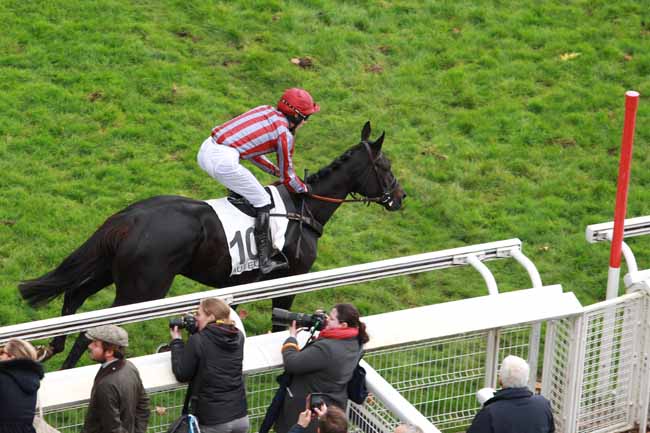 Photo d'arrivée de la course pmu PRIX RENAUD DU VIVIER - GRANDE COURSE DE HAIES DES 4 ANS à AUTEUIL le Dimanche 12 novembre 2017