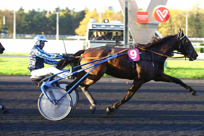 Photo d'arrivée de la course pmu PRIX DE COLOMBES à PARIS-VINCENNES le Lundi 13 novembre 2017