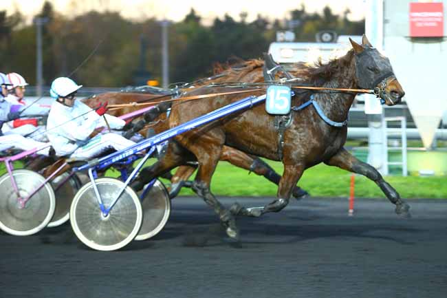 Photo d'arrivée de la course pmu PRIX DE BEAUVAIS à PARIS-VINCENNES le Lundi 13 novembre 2017