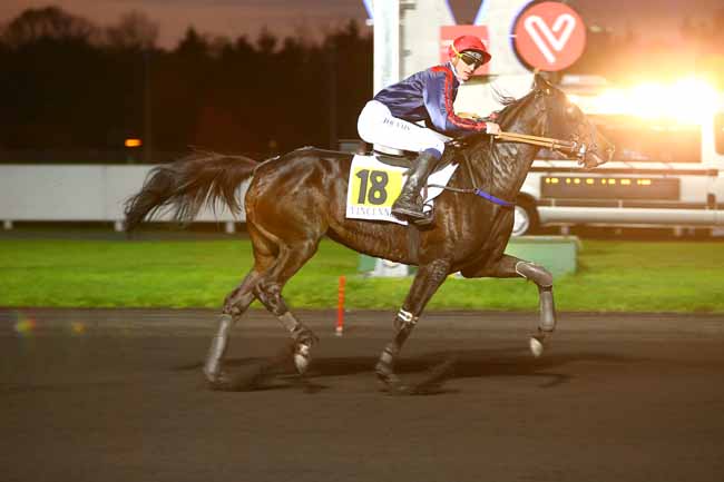 Photo d'arrivée de la course pmu PRIX D'ARGENTAN à PARIS-VINCENNES le Lundi 13 novembre 2017