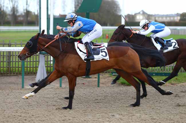 Photo d'arrivée de la course pmu PRIX DE L'EMBARCADERE à CHANTILLY le Lundi 13 novembre 2017