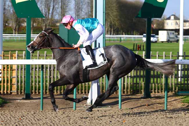 Photo d'arrivée de la course pmu PRIX DE LA CROIX SAINT-RIEUL à CHANTILLY le Lundi 13 novembre 2017
