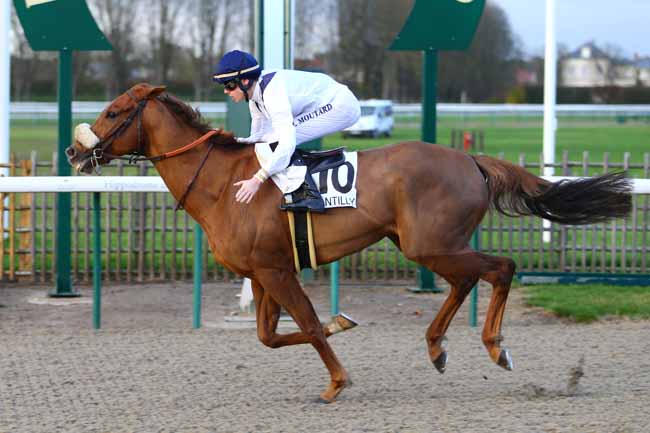 Photo d'arrivée de la course pmu PRIX DE LA FORET DE CARNELLE à CHANTILLY le Lundi 13 novembre 2017