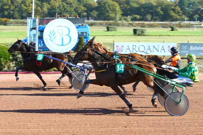 Photo d'arrivée de la course pmu PRIX DE L'HIPPODROME D'AGEN à BORDEAUX-LE BOUSCAT le Mardi 14 novembre 2017