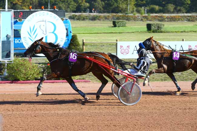 Photo d'arrivée de la course pmu PRIX DE L'HIPPODROME DE BEAUMONT-DE-LOMAGNE à BORDEAUX-LE BOUSCAT le Mardi 14 novembre 2017