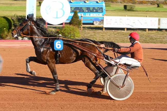 Photo d'arrivée de la course pmu PRIX MOET ET CHANDON (GR A) à BORDEAUX-LE BOUSCAT le Mardi 14 novembre 2017