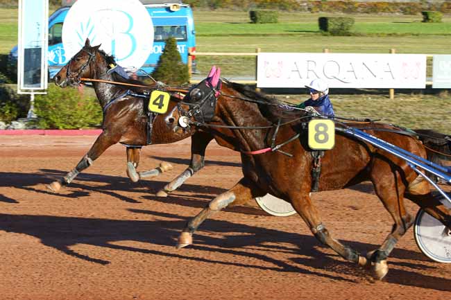 Photo d'arrivée de la course pmu PRIX MOET ET CHANDON (GR B) à BORDEAUX-LE BOUSCAT le Mardi 14 novembre 2017
