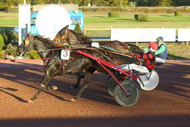 Photo d'arrivée de la course pmu PRIX DE L'HIPPODROME DE TOULOUSE à BORDEAUX-LE BOUSCAT le Mardi 14 novembre 2017