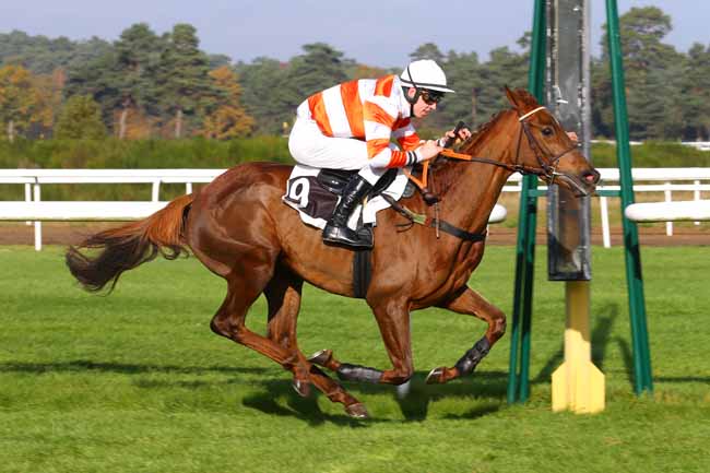 Photo d'arrivée de la course pmu PRIX DU CARREFOUR DU NID DE L'AIGLE à FONTAINEBLEAU le Mardi 14 novembre 2017