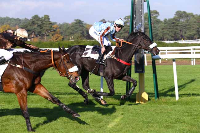 Photo d'arrivée de la course pmu PRIX DE LA ROUTE AMELIE à FONTAINEBLEAU le Mardi 14 novembre 2017