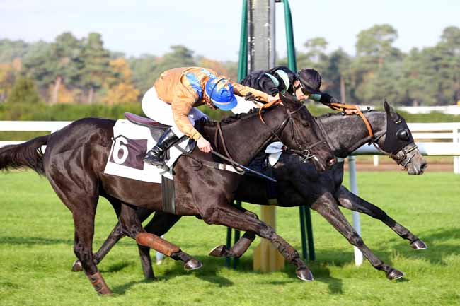 Photo d'arrivée de la course pmu PRIX BISON FUTE à FONTAINEBLEAU le Mardi 14 novembre 2017