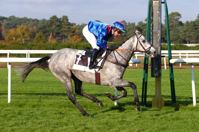 Photo d'arrivée de la course pmu PRIX DU SIMPLON à FONTAINEBLEAU le Mardi 14 novembre 2017