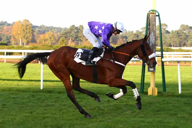Photo d'arrivée de la course pmu PRIX PAIUTE à FONTAINEBLEAU le Mardi 14 novembre 2017