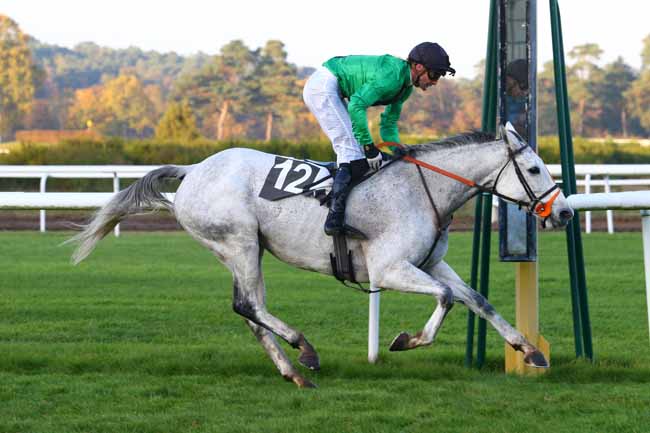 Photo d'arrivée de la course pmu PRIX COLONEL BEAUJEAN à FONTAINEBLEAU le Mardi 14 novembre 2017