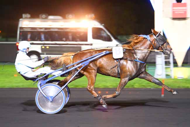 Photo d'arrivée de la course pmu PRIX DE LA COUPE DE FRANCE DE FOOTBALL à PARIS-VINCENNES le Mardi 14 novembre 2017