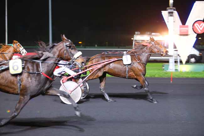 Photo d'arrivée de la course pmu PRIX DIKE à PARIS-VINCENNES le Mardi 14 novembre 2017