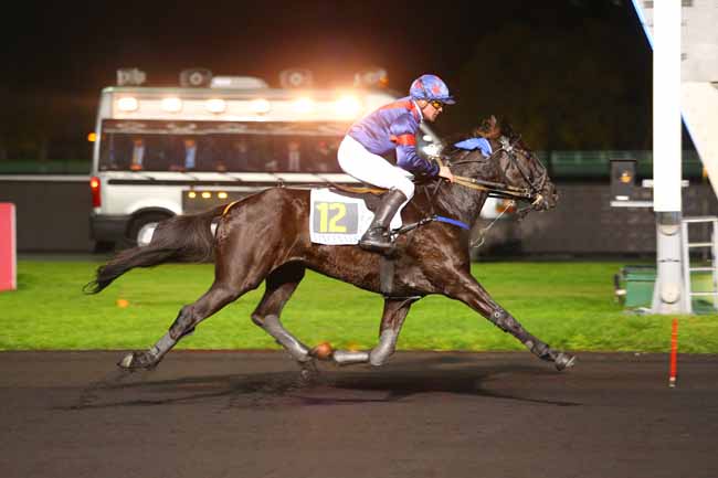 Photo d'arrivée de la course pmu PRIX FRIZZA à PARIS-VINCENNES le Mardi 14 novembre 2017