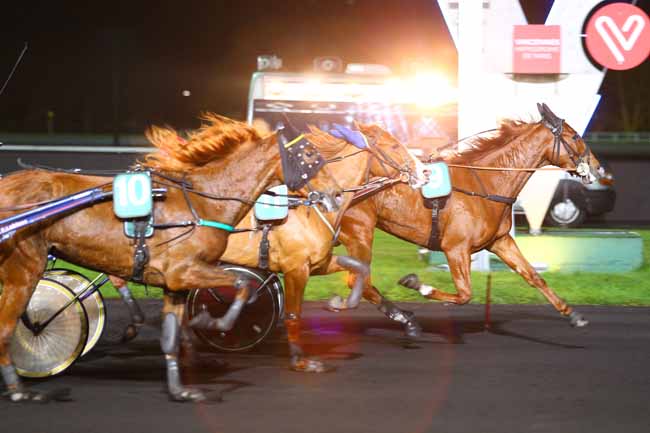 Photo d'arrivée de la course pmu PRIX GYPTIS à PARIS-VINCENNES le Mardi 14 novembre 2017