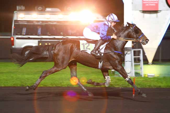Photo d'arrivée de la course pmu PRIX PSYCHE (GR A) à PARIS-VINCENNES le Mardi 14 novembre 2017