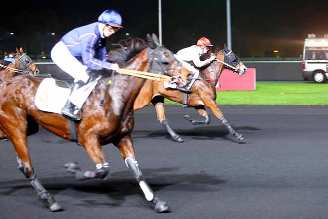 Photo d'arrivée de la course pmu PRIX PSYCHE (GR B) à PARIS-VINCENNES le Mardi 14 novembre 2017