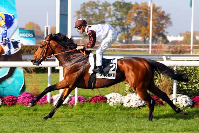 Photo d'arrivée de la course pmu GRAND PRIX D'ANGERS à ANGERS le Mercredi 15 novembre 2017